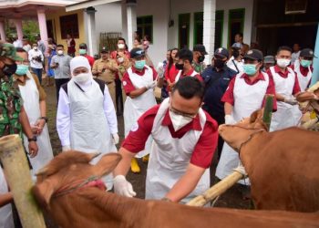 Gubernur Jawa Timur Khofifah Indar Parawansa saat meninjau vaksinasi hewan ternak dalam penanganan Penyakit Mulut dan Kuku (PMK) beberapa waktu lalu.