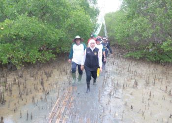 Gubernur Jawa Timur Khofifah Indar Parawansa dalam penanaman mangrove  yang dilaksanakan di Politeknik Negeri Madura.