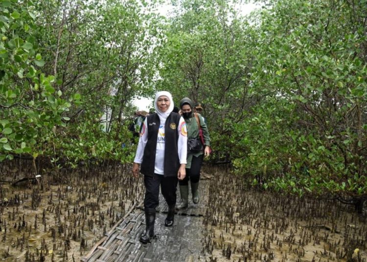 Gubernur Jatim Khofifah Indar Parawansa di Festival Mangrove Jatim ke-2 yang dilaksanakan di Politeknik Negeri Madura.