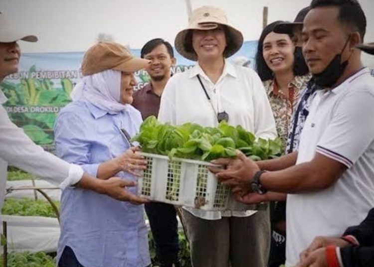 Bupati Bojonegoro Ann Mu'awanah dalam salah satu kegiatan bersama masyarakat.