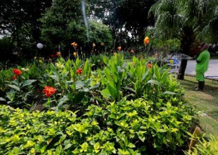 Sejumlah personel dari Dinas Lingkungan Hidup Surabaya menata Taman Surya sebelum dibuka untuk publik.