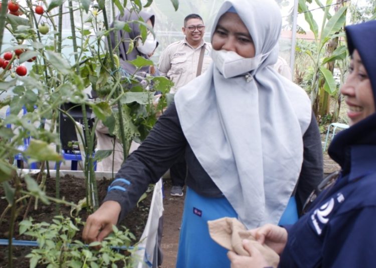 Unit ITS Smart Eco Campus mengajak sivitas akademika ITS dan masyarakat umum berlomba menanam tanaman organik di acara bertajuk Tandur Race.
