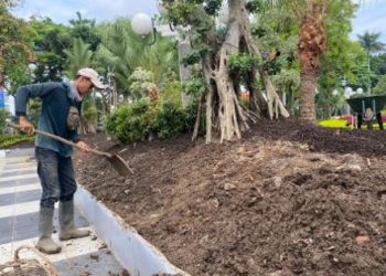 Penataan taman di Taman Surya sedang dilakukan DLH Surabaya. Kini dilakukan evaluasi setelah ditemukan granat dari urukan tanah yang diambil dari pengerukan sungai.