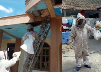 Tim dari Dinas Pemadam Kebakaran dan Penyelamatan (DPKP) Kota Surabaya mengevakuasi sarang tawon yang ada di rumah warga.