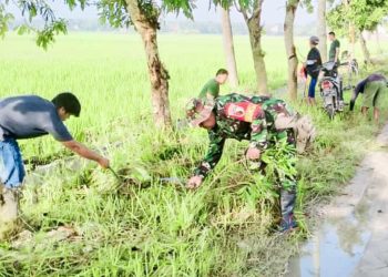 Babinsa Koramil 0813-09/Sumberrejo bekerjasama dengan Pemerintah Desa Sumuragung, melaksanakan karya bakti pembersihan rumput liar di sepanjang jalan poros Desa Sumuragung.