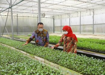 Gubernur Jawa Timur Khofifah Indar Parawansa bersama Rektor IPB Arif Satria.