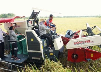 Bupati Bojonegoro Anna Mu'awanah mencoba combine harvester yang dihibahkan pada Kelompok Tani Mulyo, saat panen di Dusun Tawangsari, Desa Bakalan.