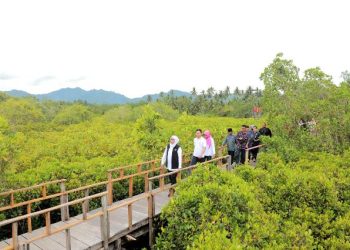 Gubernur Jawa Timur Khofifah Indar Parawansa mendatangi hutan mangrove Cengkrong, Trenggalek.