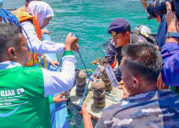 Penananam terumbu karang di kawasan Pantai Mutiara Trenggalek sebagai upaya untuk membawa Jawa Timur ke era blue economy.