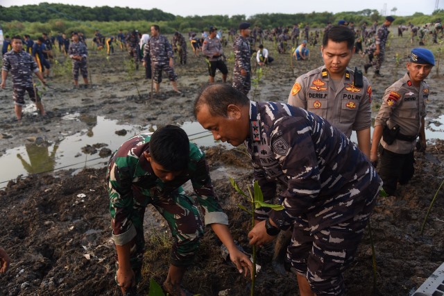 Penanaman mangrove di Koarmada II bertempat di Dermaga Semampir Baru.