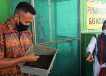 Budi daya Maggot Black Soldier Fly (BSF) di Tempat Pemrosesan Akhir (TPA) Banjarsari.