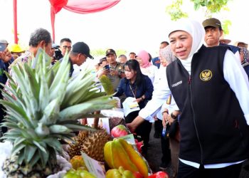Gubernur Jawa Timur Khofifah Indar Parawansa meninjau inovasi pertanian yang dikembangkan oleh para petani yang tergabung dalam Poktan Sari III Dusun Nglencong Desa Dempel, Kecamatan Geneng, Kabupaten Ngawi.