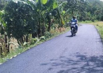 Jalan Desa Setren, Kecamatan Ngasem, Kabupaten Bojonegoro yang sudah diaspal.