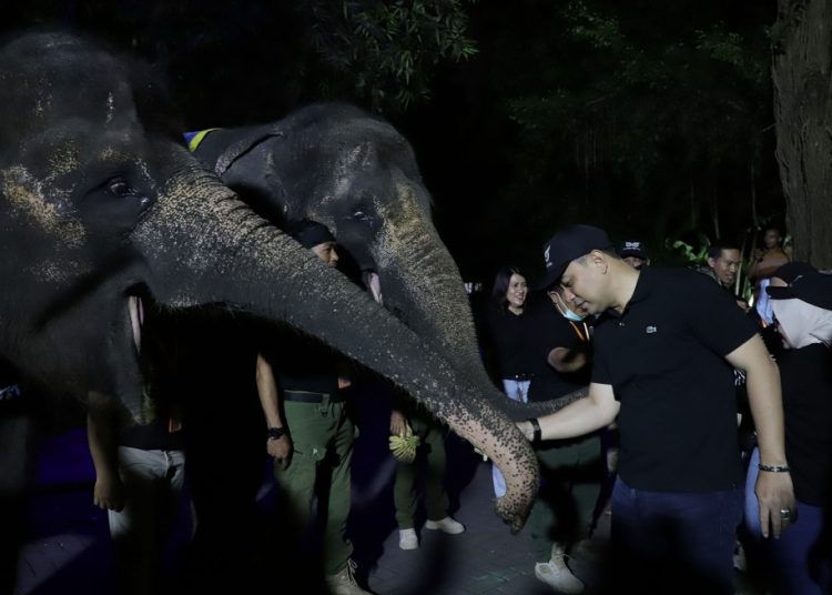 Wali Kota Surabaya Eri Cahyadi saat trial opening Surabaya Night Zoo.