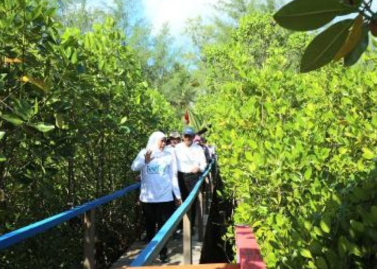 Gubernur Jawa Timur Khofifah Indar Parawansa kembali di sela Festival Mangrove ke-4 di Hutan Mangrove Pancer Cengkrong, Trenggalek.