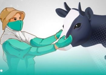 Untuk memastikan kesehatan hewan kurban yang aman, tenaga paramedik dan dokter hewan diturunkan untuk melakukan pemeriksaan hewan kurban di 28 kecamatan Bojonegoro.