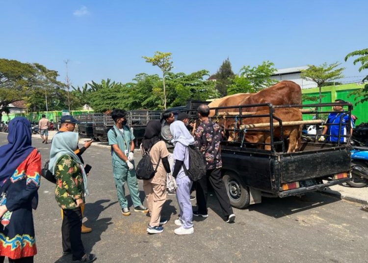 Dinas Peternakan dan Perikanan (Disnakkan) Pemkab Bojonegoro melakukan pengecekan kesehatan hewan kurban.