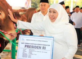 Gubernur Jatim Khofifah Indar Parawansa melakukan penyerahan hewan kurban dari Presiden Joko Widodo secara simbolis di Taman Asmaul Husna di halaman Masjid Al Akbar Surabaya.