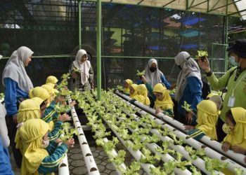Dokumentasi kunjungan di Mini Agrowisata Dinas Ketahanan Pangan dan Pertanian (DKPP) Kota Surabaya.