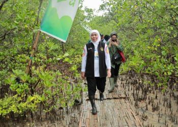 Gubernur Jawa Timur Khofifah Indar Parawansa dalam salah satu kegiatan meninjau kawasan mangrove.