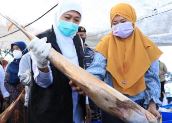 Gubernur Jawa Timur Khofifah Indar Parawansa dalam salah satu kegiatan meninjau hasil laut.