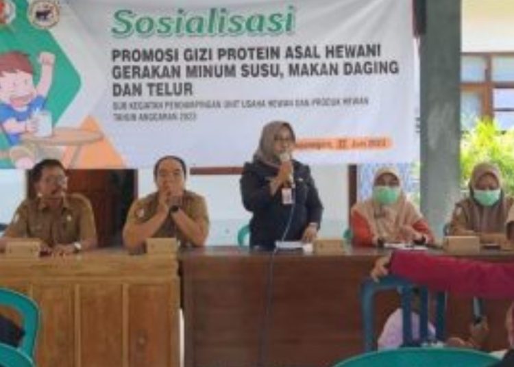 Sosialisas memberikan pengetahuan kepada masyarakat khususnya bagi ibu hamil, ibu hamil Kekurangan Energi Kronis (KEK) serta ibu dari balita stunting dan gizi kurang.