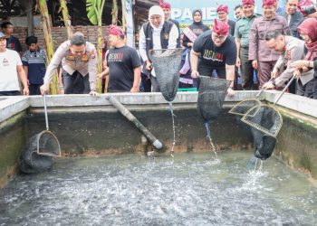 Gubernur Jatim Khofifah Indar Parawansa panen 1,6 ton lele mutiara dengan sistem sirkulasi air di Peternakan Republik Lele, Desa Tulungrejo Pare Kabupaten Kediri.