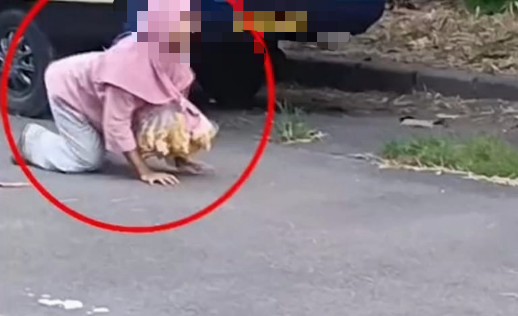 Tangkaoan layar video viral jualan peyek sambil merangkak yang viral di media sosial TikTok.