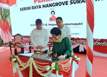 Ketua Dewan Pengarah Badan Riset dan Inovasi Nasional Megawati Soekarnoputri menandatangani prasasti saat meresmikan Kebun Raya Mangrove Surabaya, di kawasan Gunung Anyar.