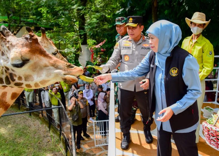 Gubernur Khofifah Indar Parawansa yang sedang melakukan kunjungan di salah satu wisata Provinsi Jawa Timur.