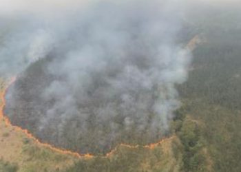 Kebakaran hutan dan lahan (karhutla) di wilayah Gunung Arjuno.