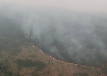 Kebakaran hutan dan lahan di wilayah Gunung Arjuno.