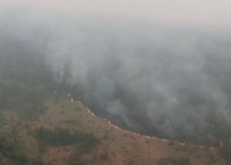 Kebakaran hutan dan lahan di wilayah Gunung Arjuno.