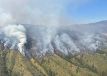 Kebakaran hutan dan lahan yang terjadi di Lembah Watangan atau Bukit Teletubbies, di Kecamatan Sukapura, Kabupaten Probolinggo.