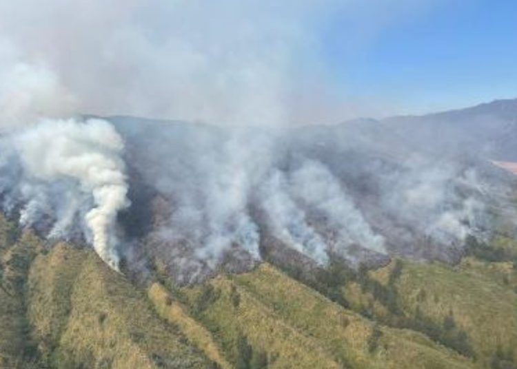 Kebakaran hutan dan lahan yang terjadi di Lembah Watangan atau Bukit Teletubbies, di Kecamatan Sukapura, Kabupaten Probolinggo.