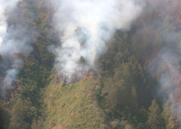 Kebakaran hutan dan lahan di Lembah Watangan atau Bukit Teletubbies, kawasan wisata Gunung Bromo.