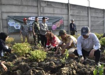 Penanaman cabai serentak bersama kelompok tani urban farming dan para petani konvensional se-Surabaya.