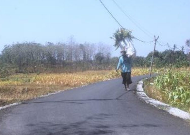 Jalan lingkungan Dusun Goimo Desa Bubulan Kecamatan Bubulan yangbkini sudah nglenyer.