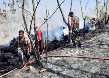 Pemadaman karhutla di Dusun Nganti, Desa Ngraho, Kecamatan Ngraho yang ditimbulkan dari adanya pembakaran kayu.