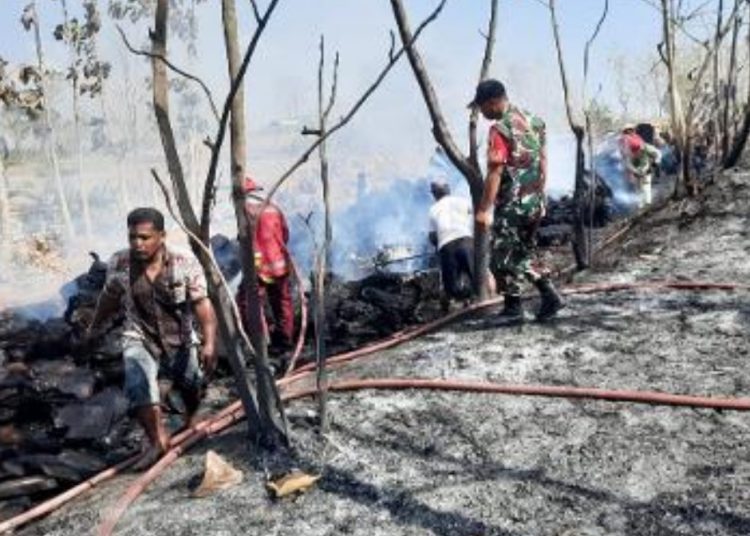 Pemadaman karhutla di Dusun Nganti, Desa Ngraho, Kecamatan Ngraho yang ditimbulkan dari adanya pembakaran kayu.