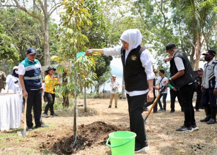 Gubernur Jatim Khofifah Indar Parawansa dalam penanaman 1.500 bibit Pohon Durian Musang King dan Alpukat Aligator di kawasan Bendungan Selorejo, Kecamatan Ngantang, Kabupaten Malang.
