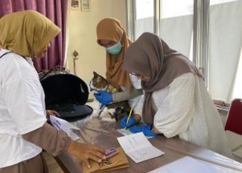 Vaksinasi terhadap kucing yang dilakukan Dinas Peternakan dan Perikanan Pemkab Bojonegoro yang merupakan rangkaian World Rabies Day.