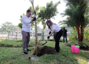 Wali Kota Surabaya Eri Cahyadi menanam pohon tabebuya di pinggir Kalimas.