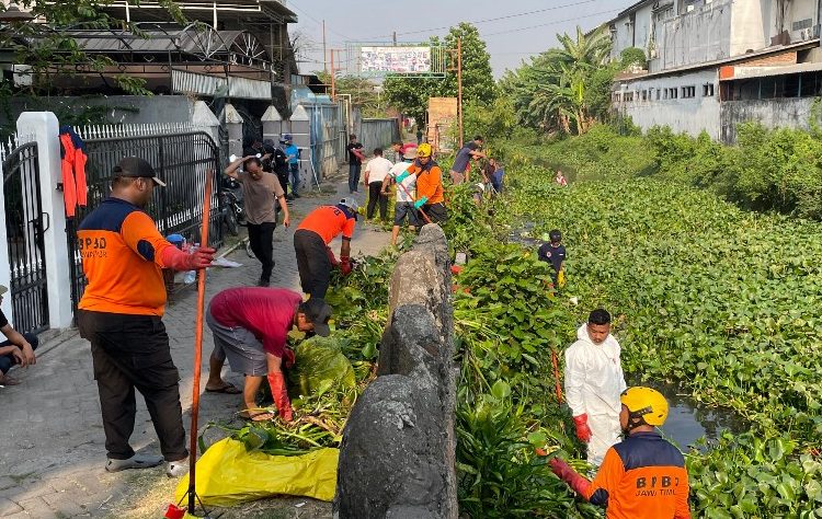 Pembersihan eceng gondok di sungai Sinir Waru, Sidoarjo.
