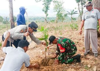 Penanaman pohon di area makam umum di Desa Gondang, Kecamatan Gondang, Bojonegoro.
