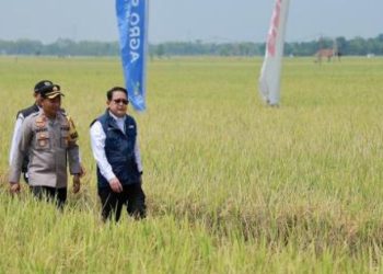 Sekretaris Daerah Provinsi Jawa Timur Adhy Karyono menghadiri Gerakan Nasional Ketahanan Pangan jajaran TNI di Dusun Sukowiyono Lima, Desa Sukowiyono, Kecamatan Padas, Kabupaten Ngawi.