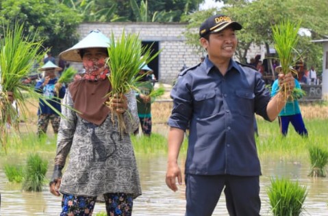 Kegiatan di sela penanaman padi varietas inpari 32 dilakukan di Desa Karang Tinoto, Kecamatan Rengel,  Tuban.