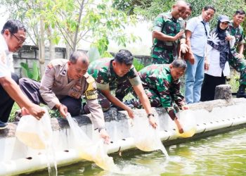 Tabur benih ikan nila sebanyak 2000 ekor di kolam ikan milik Kodim 0813 Bojonegoro.