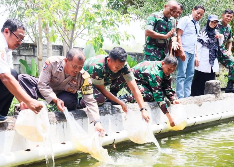 Tabur benih ikan nila sebanyak 2000 ekor di kolam ikan milik Kodim 0813 Bojonegoro.