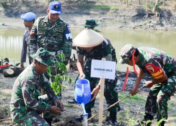 Penanaman bibit pohon di Desa Wotangare, Kecamatan Kalitidu, Bojonegoro.